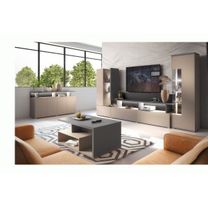 Vitrine 1 porte NESS – Finition Congo & Anthracite – LED blanc neutre – 10 niches design