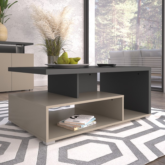 Table basse NESS – Plateau 100 x 60 cm – Finition Congo et anthracite – Design moderne