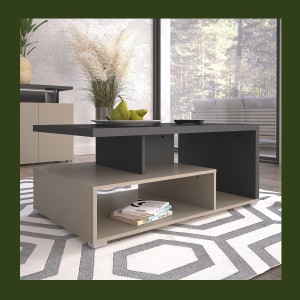 Table basse NESS – Plateau 100 x 60 cm – Finition Congo et anthracite – Design moderne