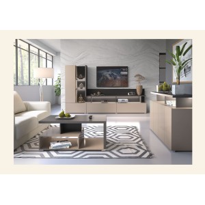 Table basse NESS – Plateau 100 x 60 cm – Finition Congo et anthracite – Design moderne