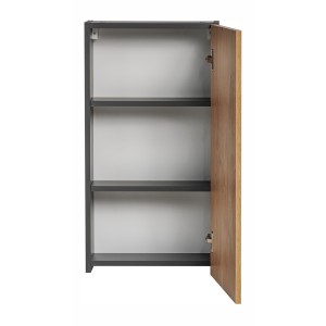 Colonne de rangement TAMO – 1 porte – Coloris gris anthracite – L40 × P16 × H75 cm – À suspendre 