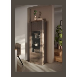 Vitrine SASHA mercure 1 porte dans décor 3D